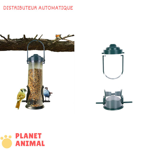 Distributeur Automatique de Nourriture Pour Oiseaux