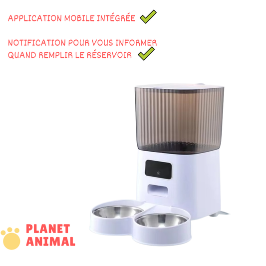 Distributeur Automatique de Nourriture Pour Chiens & Chats